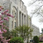 Saint John's University Programs